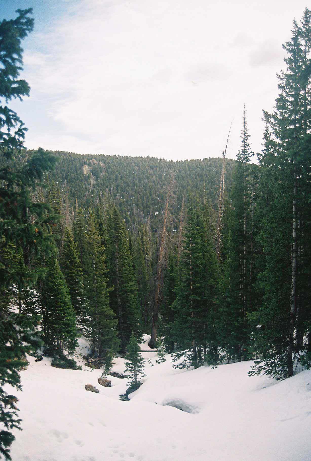 Rocky Mountain National Park