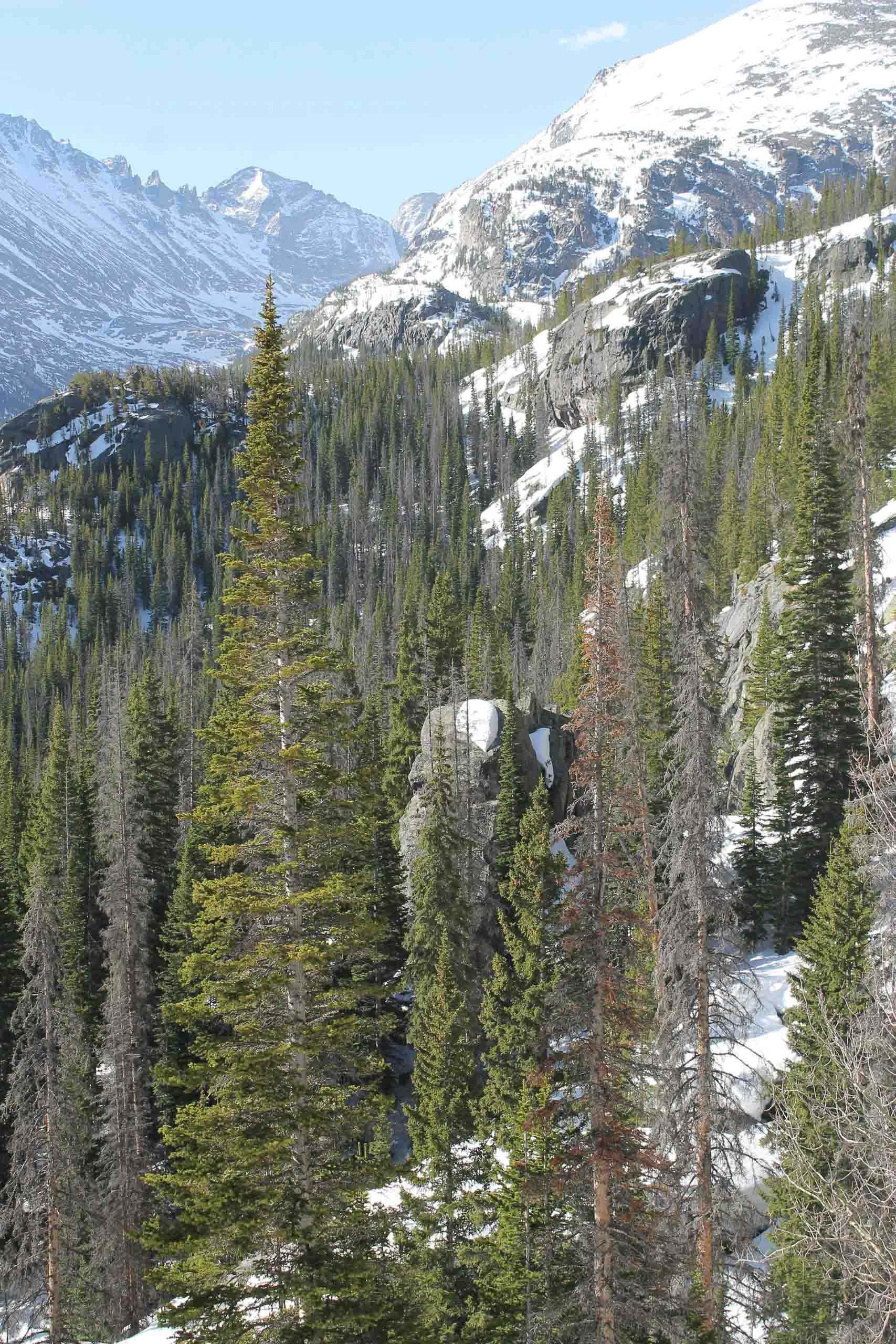 Rocky Mountain National Park