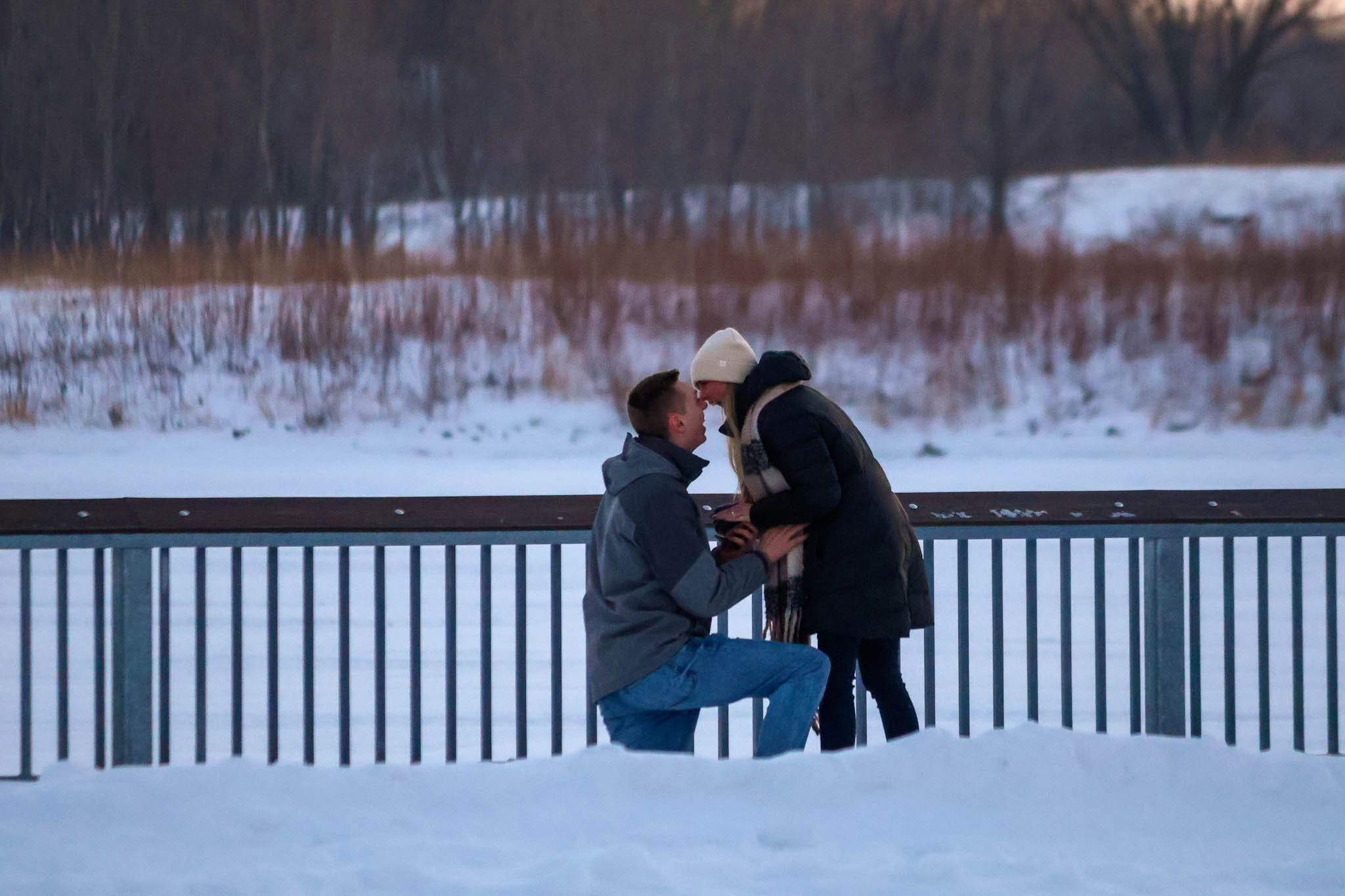 Winter Proposal