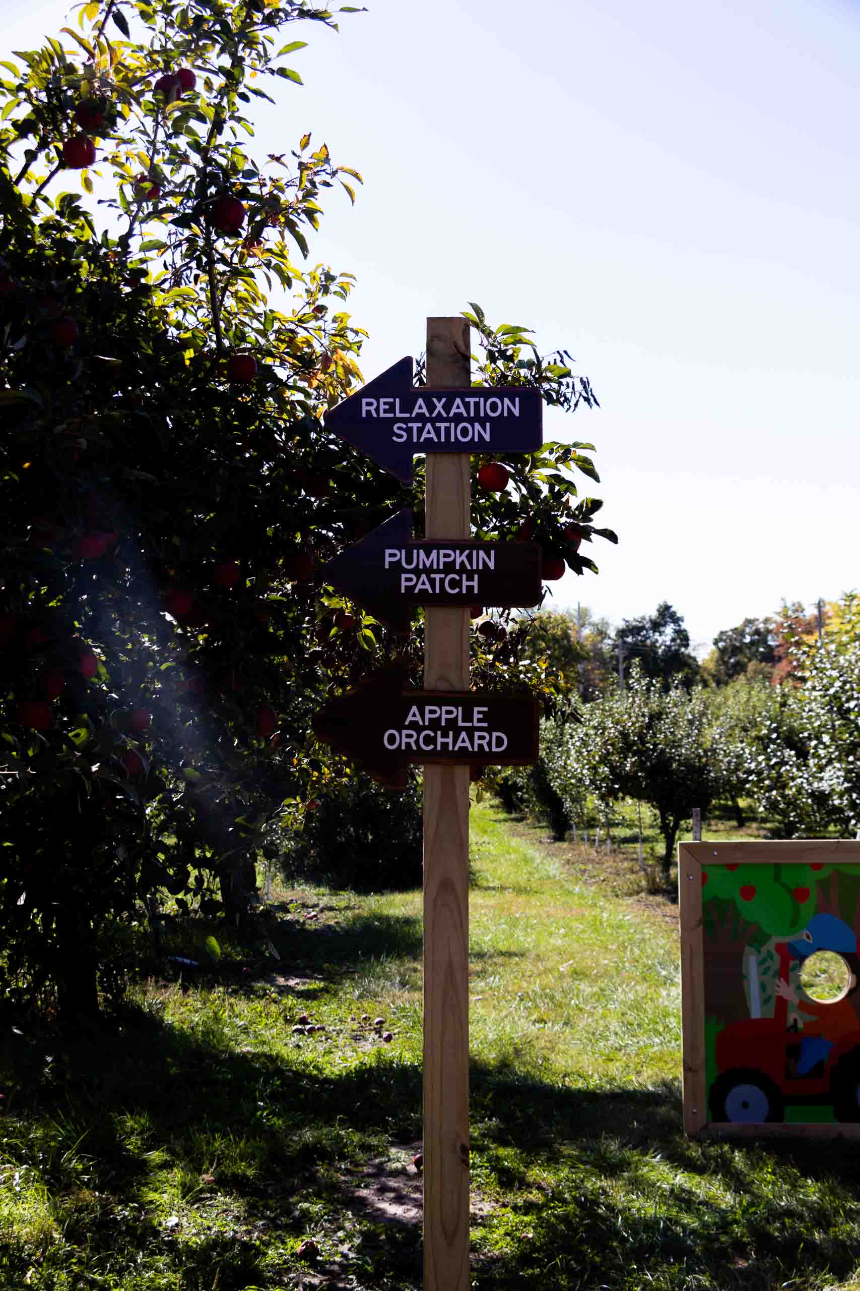 Story Book Orchard