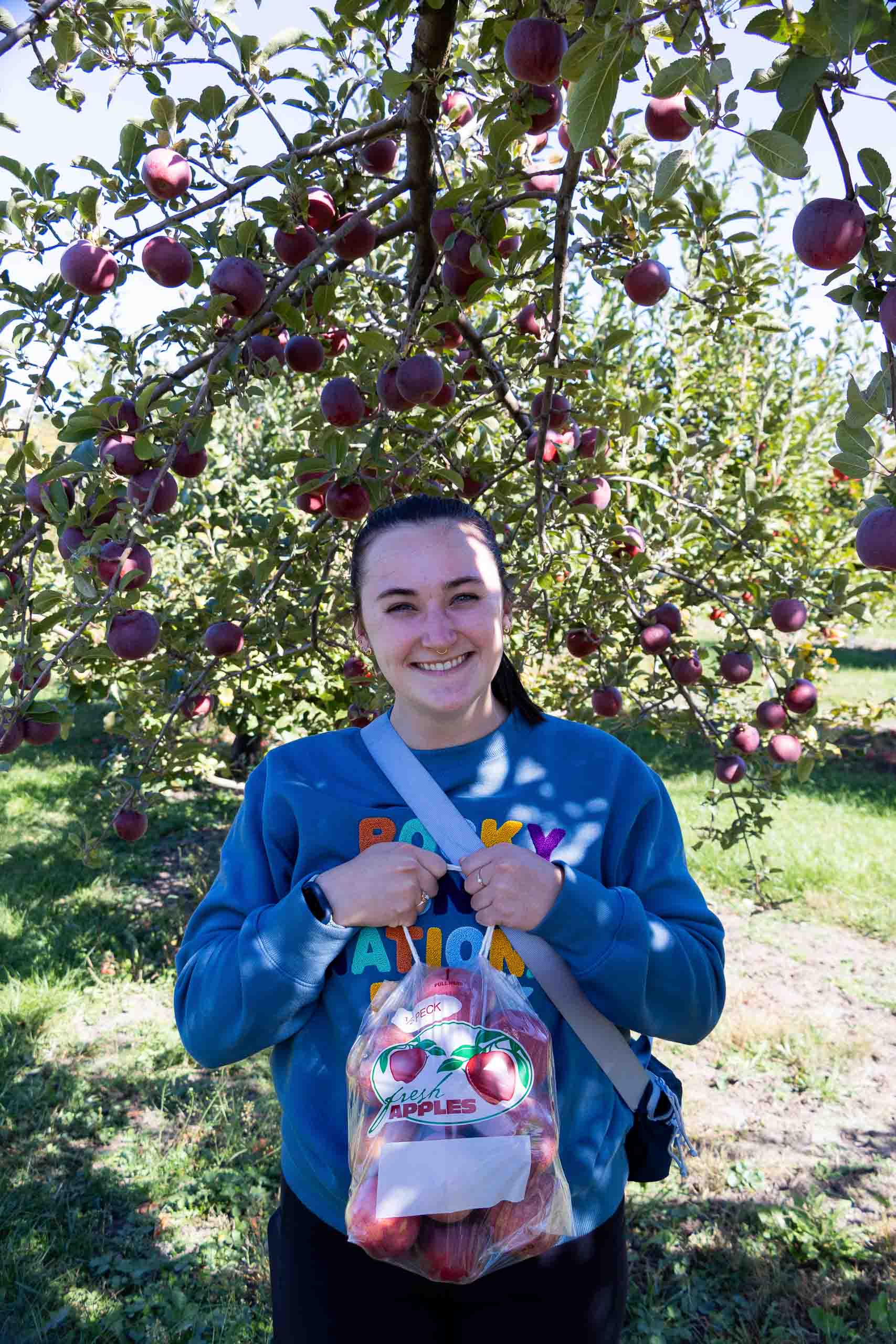 Story Book Orchard